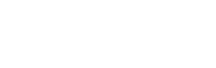 Digsite White Logo 2020