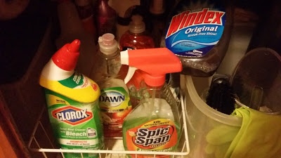 Household cleaners, clorox, dawn, windex