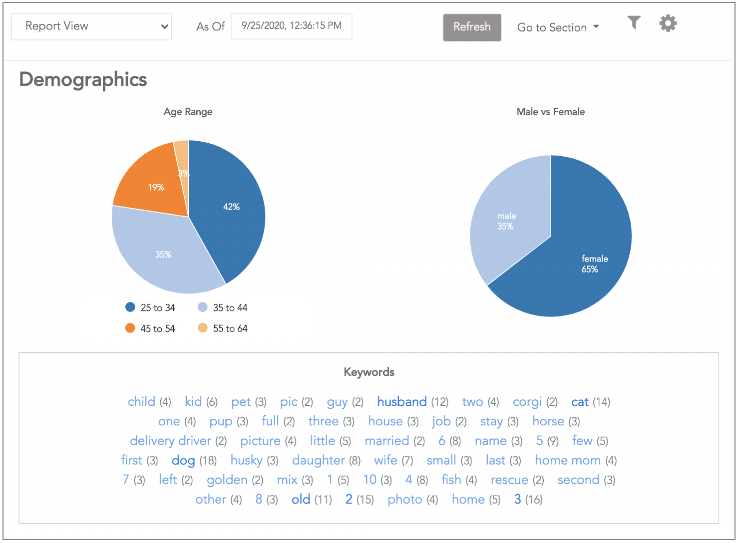 SmartDashboard demographics-2